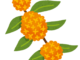 外壁塗装をするなら『秋』がおすすめです🍂